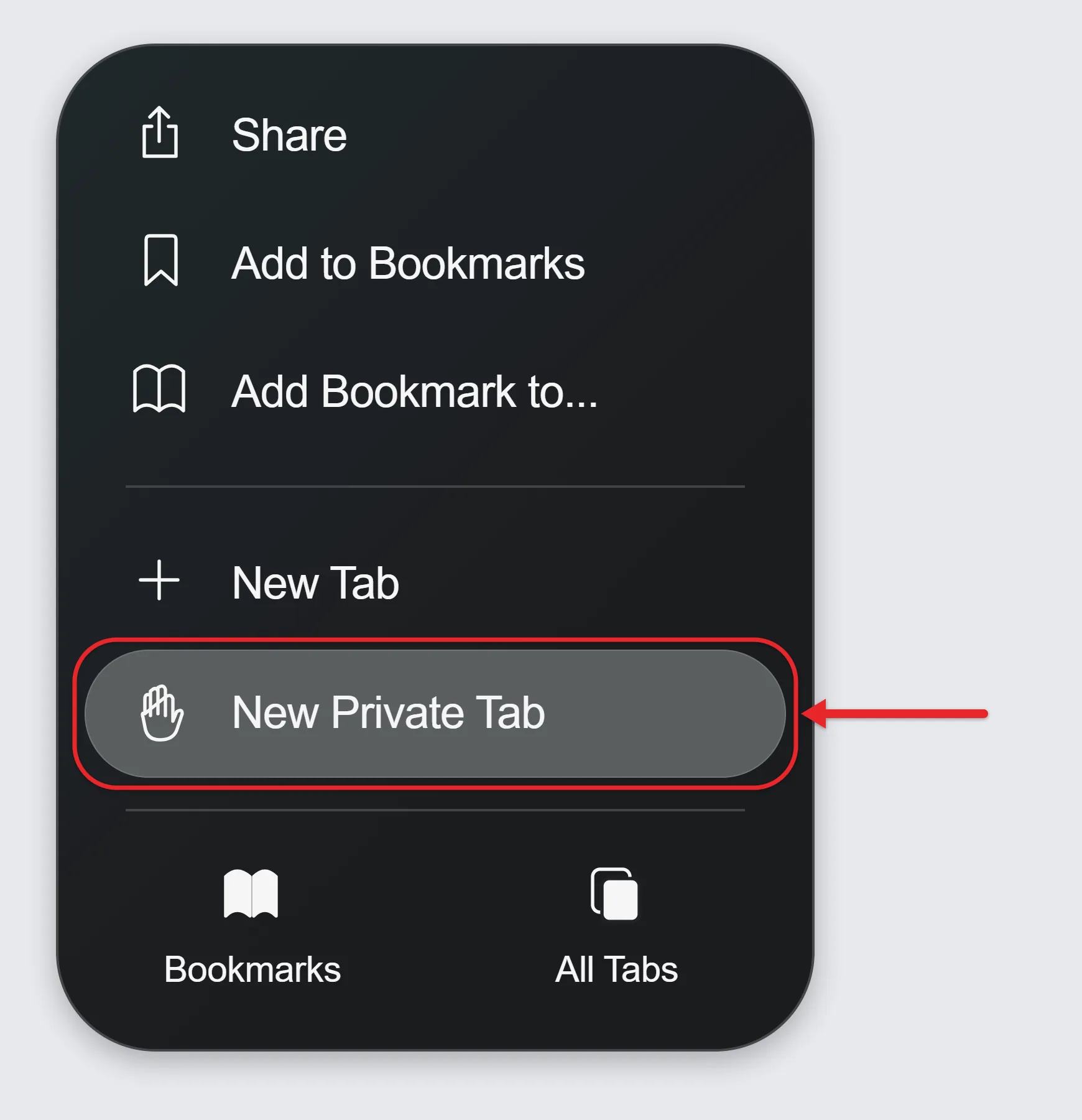 Why Can't I Create a Private Browsing Tab in Safari on My iPhone? 2 Recreated Safari More menu on iPhone with the New Private Tab option and hand icon highlighted by a red box and arrow